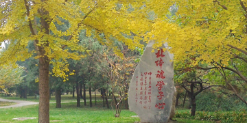 88直播足球