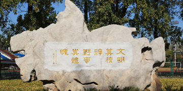 88直播足球