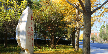 88直播足球