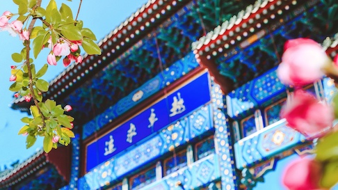 88直播足球