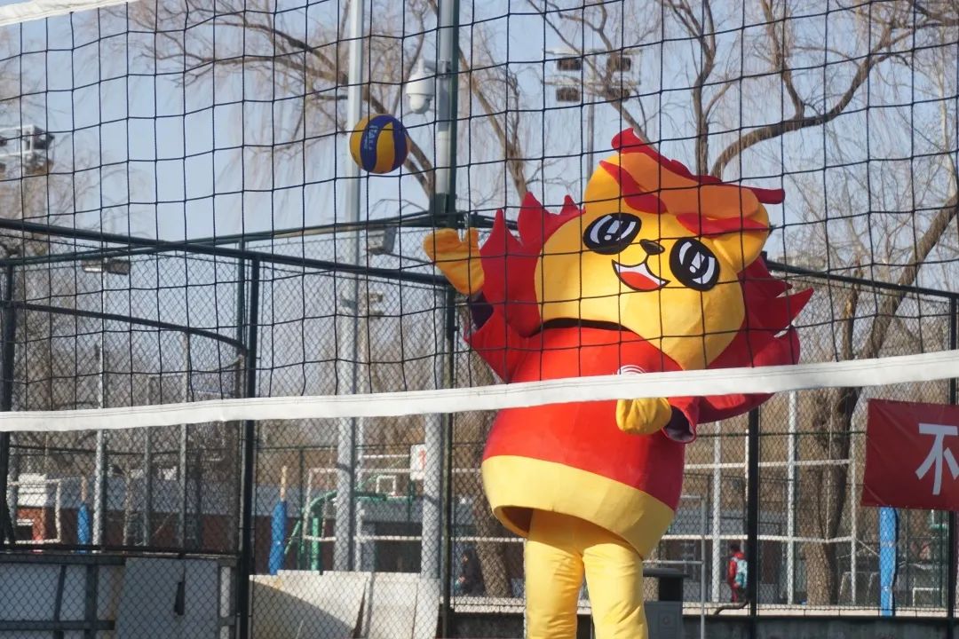 88直播足球