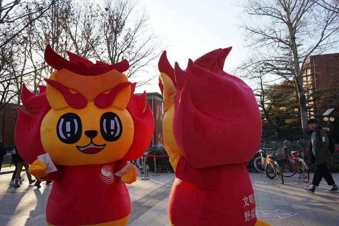 88直播足球